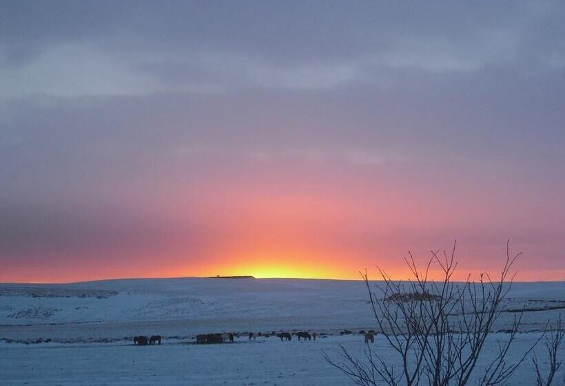 پانسیون 1a Guesthouse