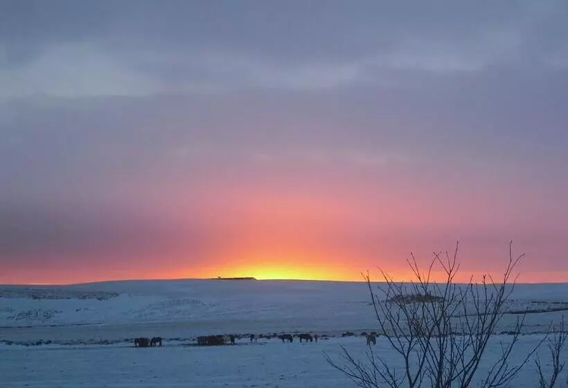 پانسیون 1a Guesthouse