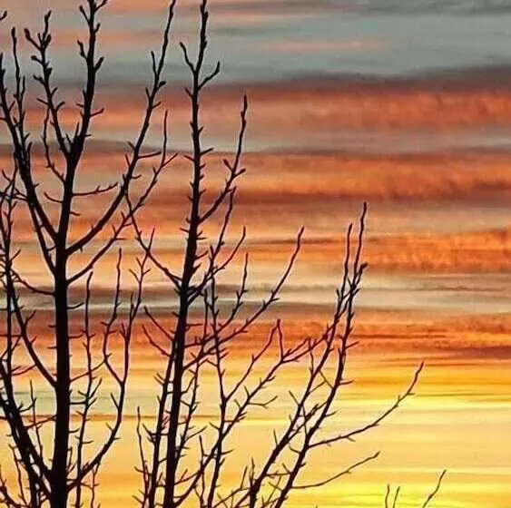 پانسیون 1a Guesthouse