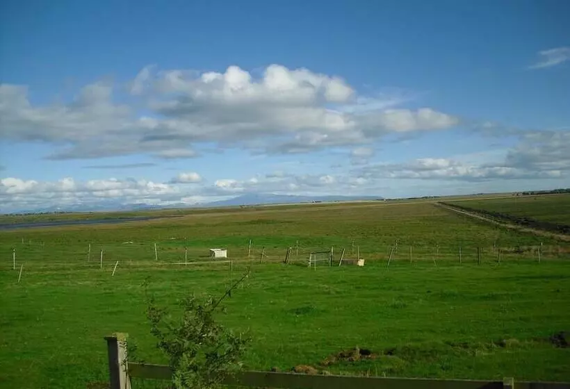 پانسیون 1a Guesthouse