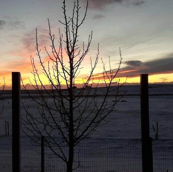 پانسیون 1a Guesthouse