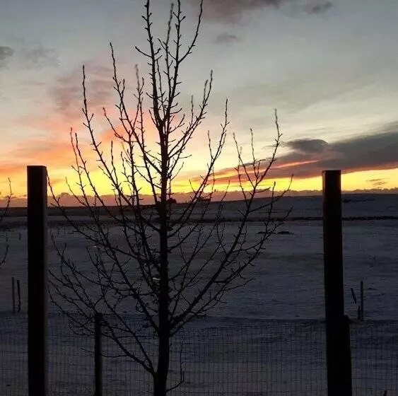 پانسیون 1a Guesthouse