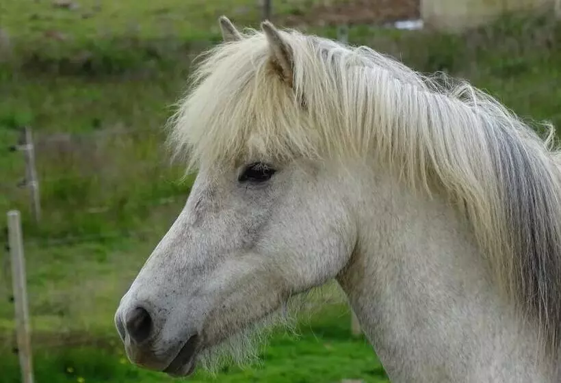 پانسیون 1a Guesthouse