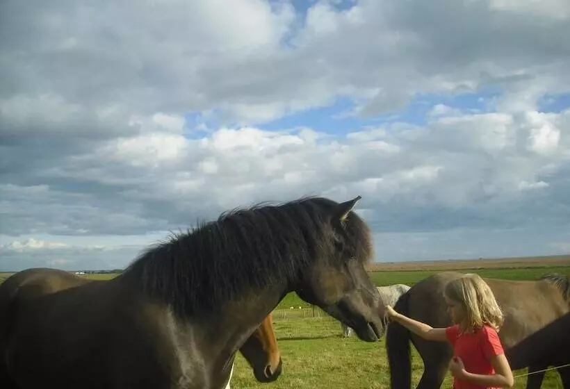 پانسیون 1a Guesthouse