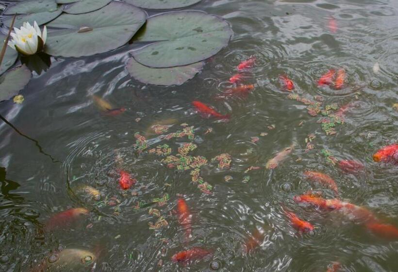 پانسیون Bee House Maya