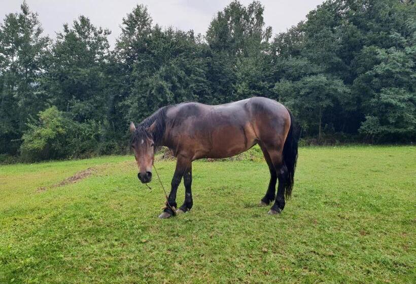 استراحتگاه Cuki Residence