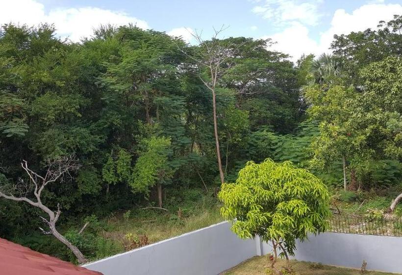 Ultimate Freedom Bed And Breakfast