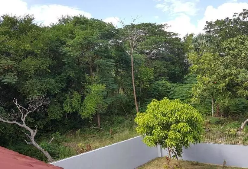 Ultimate Freedom Bed And Breakfast