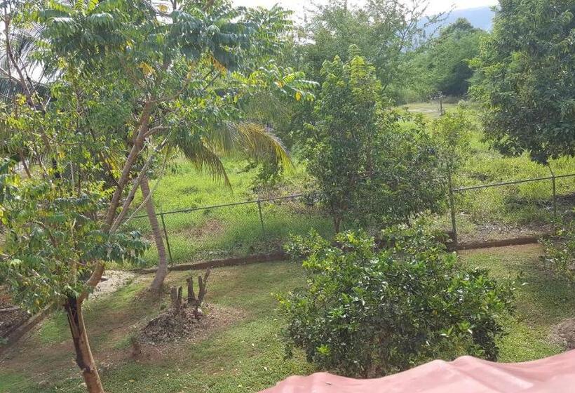 Ultimate Freedom Bed And Breakfast