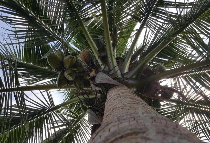 Ultimate Freedom Bed And Breakfast