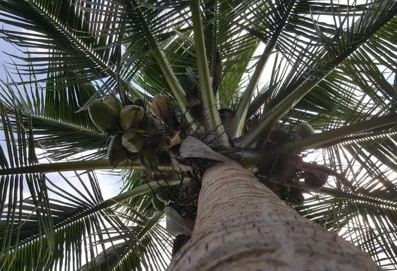 Ultimate Freedom Bed And Breakfast