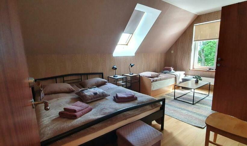 هاستل Sangaste Rukki Maja Guesthouse