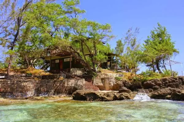 هاستل Strawberry Fields Together