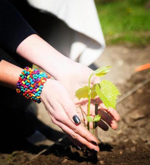 هتل Luscher & Matiesen Muhu Winehouse