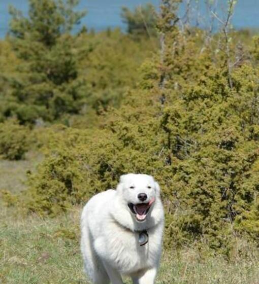 هتل Luscher & Matiesen Muhu Winehouse