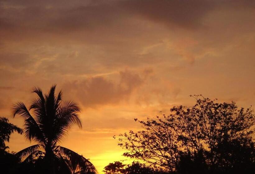 호텔 Veragua River House