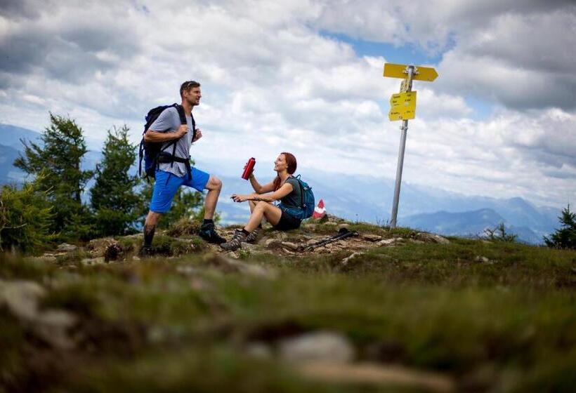 פנסיון Almdorf Tonnerhütte