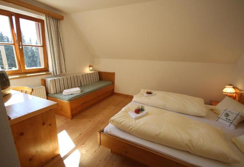 פנסיון Almdorf Tonnerhütte