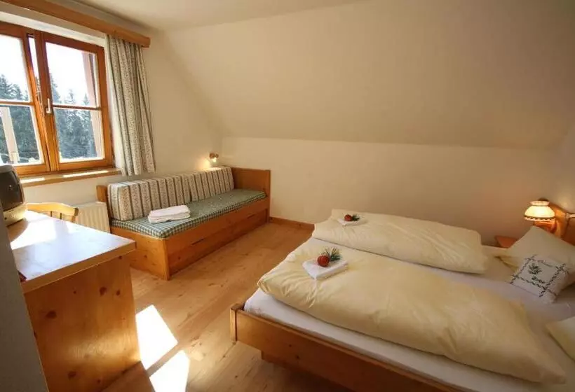 ペンション Almdorf Tonnerhütte