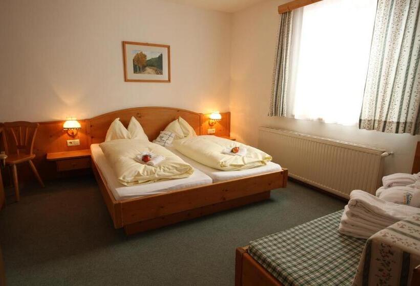 פנסיון Almdorf Tonnerhütte