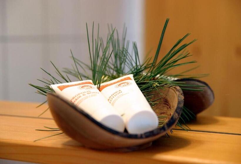 פנסיון Almdorf Tonnerhütte