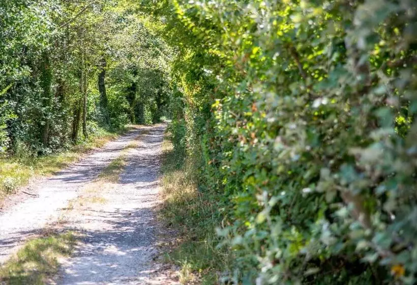 ペンション Domaine De Blanche Fleur