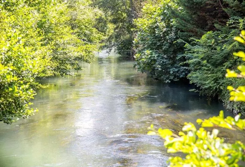 ペンション Domaine De Blanche Fleur