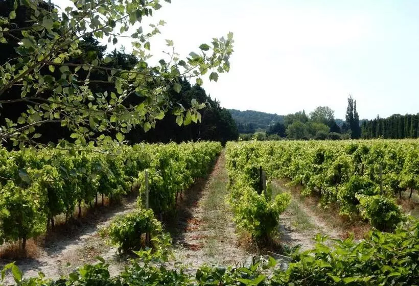 ペンション Domaine De Blanche Fleur