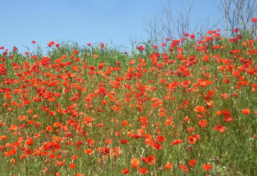 펜션 Domaine De Blanche Fleur