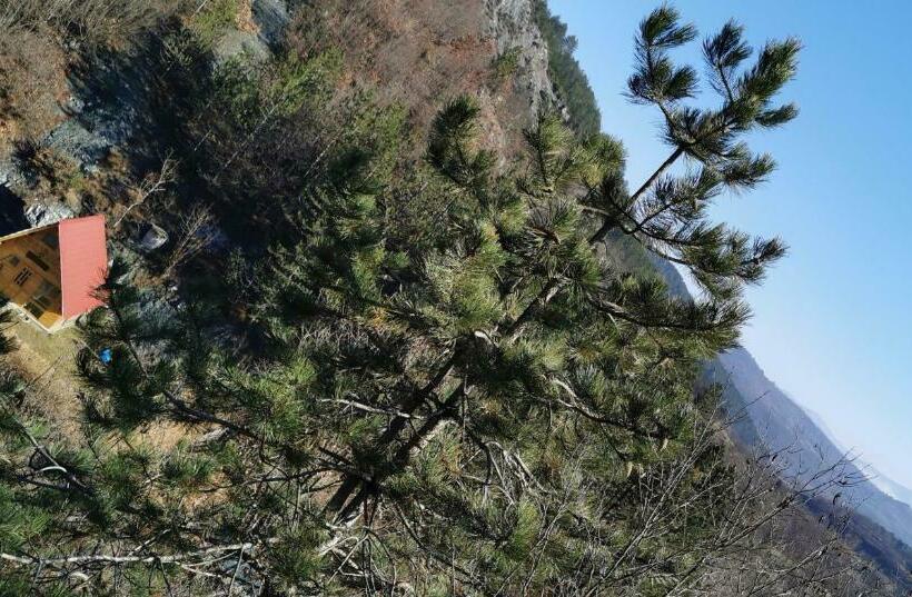 پانسیون Koliba Oaza Mira