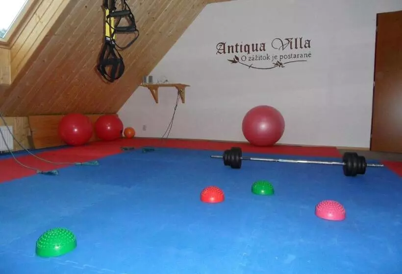 ペンション Penzión Antiqua Villa