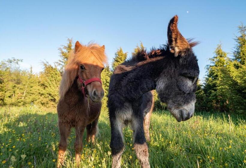 پانسیون Pruuli Holiday Farm