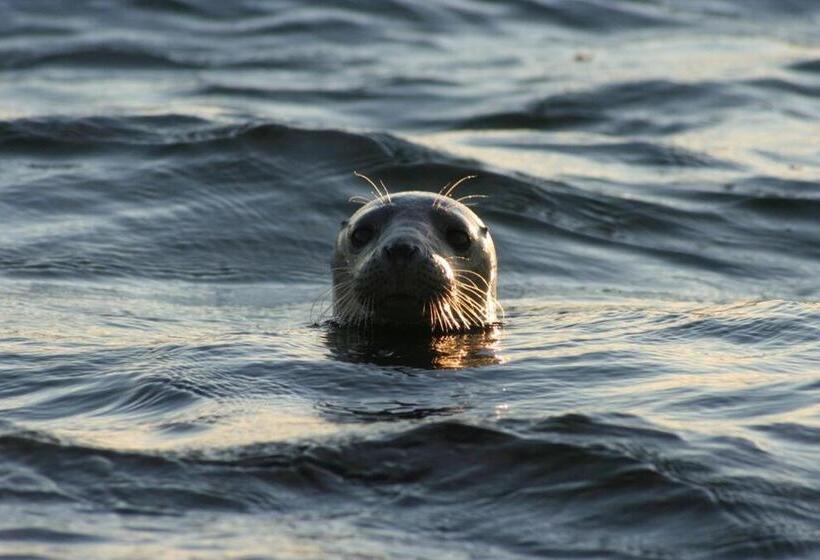 پانسیون Pruuli Holiday Farm