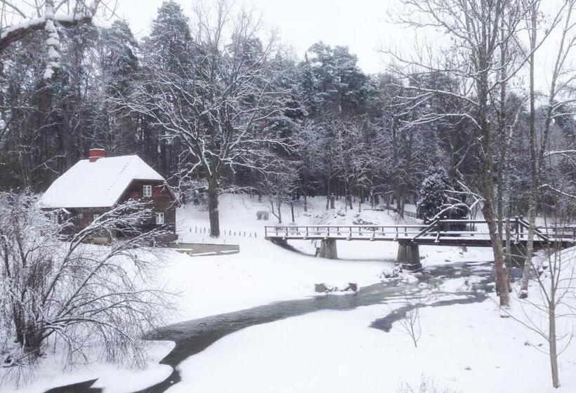 پانسیون Viesu Māja Sprīdīši