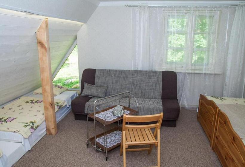 پانسیون Viesu Māja Sprīdīši