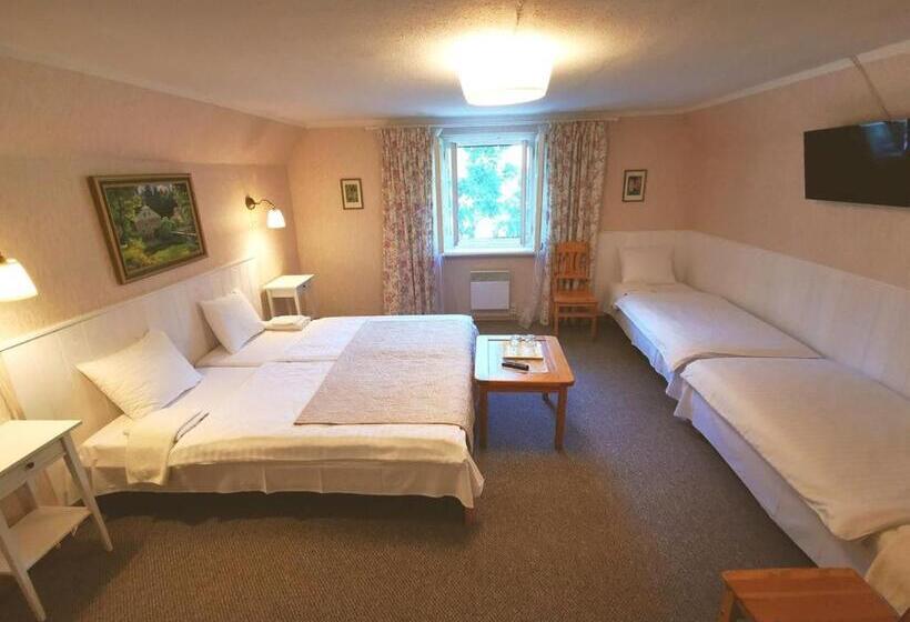 پانسیون Viesu Māja Sprīdīši