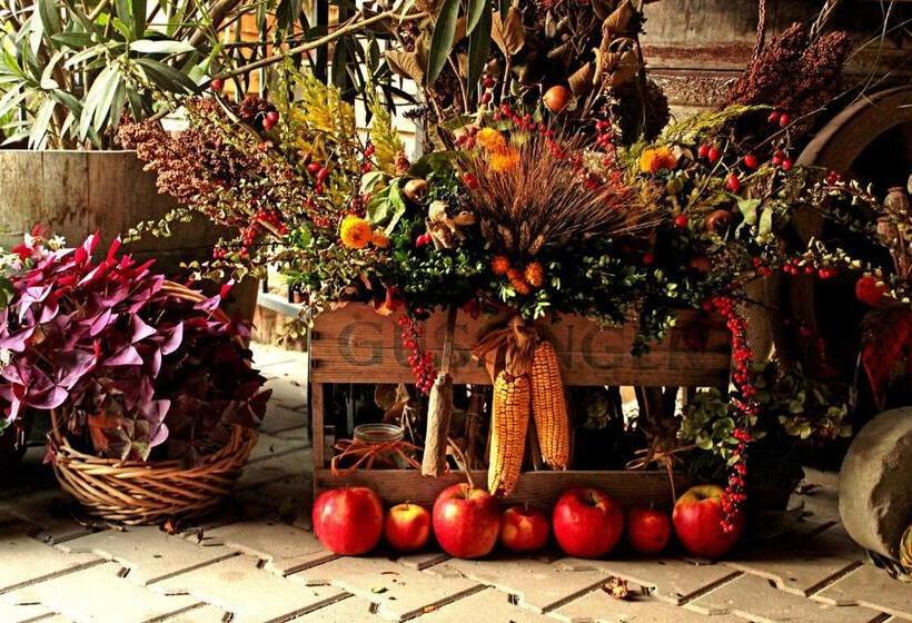 펜션 Vinný Sklep U Műhlbergerů