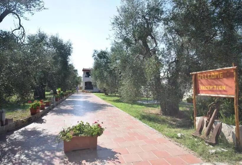 تختخواب و صبحانه Borgo Cerasa