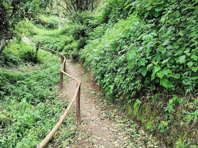 בית מלון כפרי The Sunbird Retreat Resort