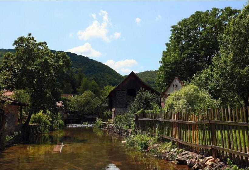 膳宿费 Fruktárium Vendégház