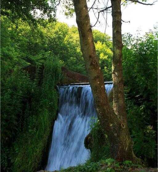 膳宿费 Fruktárium Vendégház