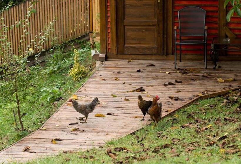 膳宿费 Fruktárium Vendégház