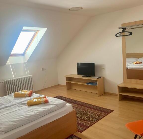 ペンション Penzion Ludor