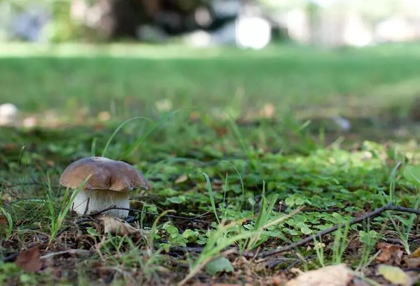 Majatalo Rodinný Penzion U Wolfů