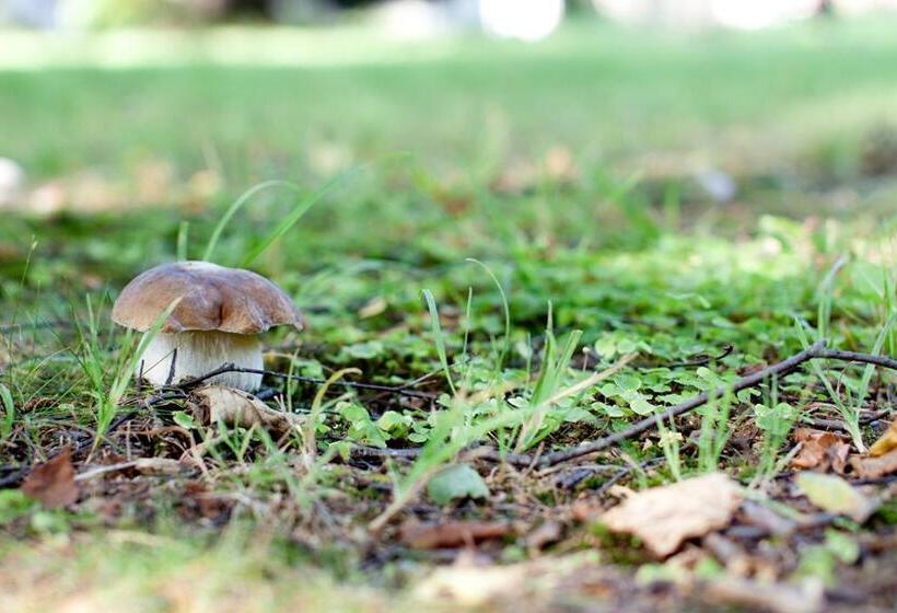 Majatalo Rodinný Penzion U Wolfů