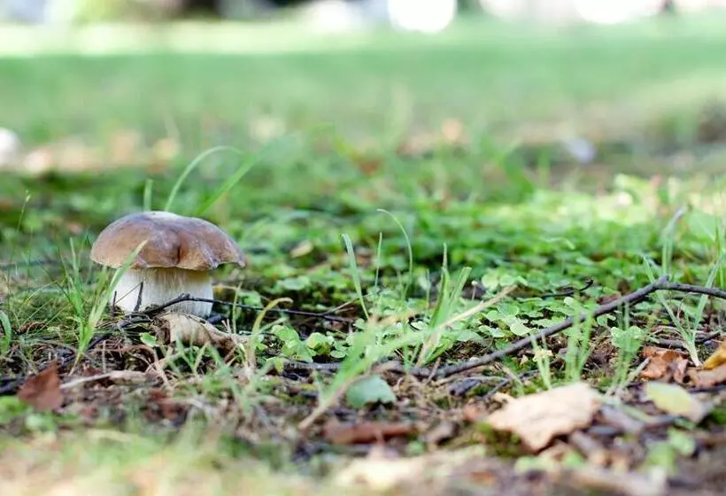 Majatalo Rodinný Penzion U Wolfů