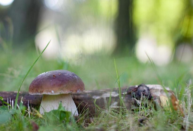 Majatalo Rodinný Penzion U Wolfů