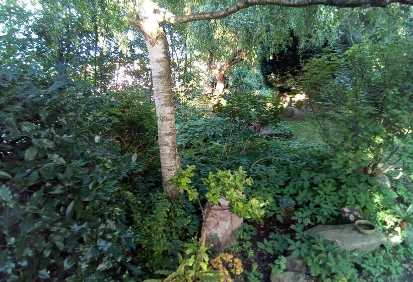 Pension Baron Schoeneck