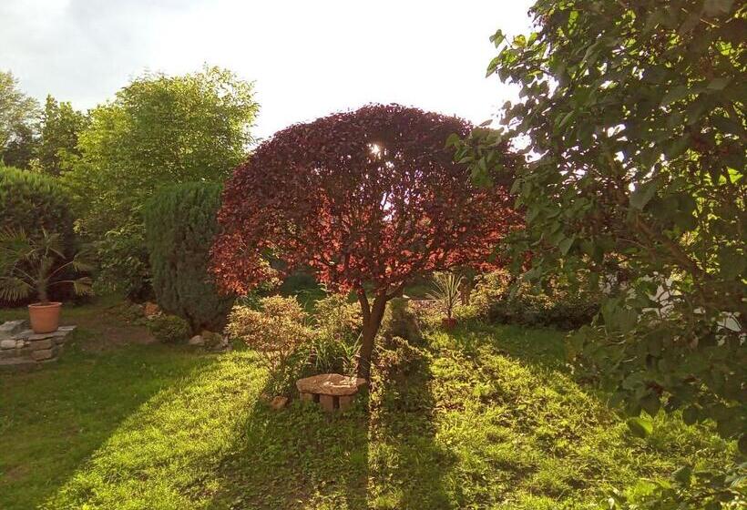 Pension Baron Schoeneck