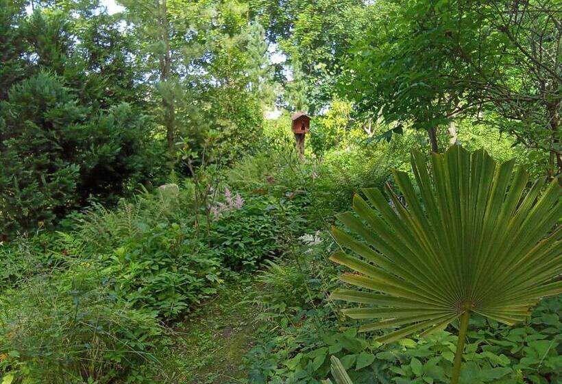 Pension Baron Schoeneck